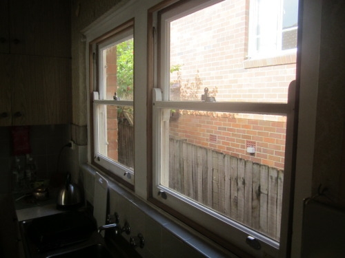 Sash Window Frame Repairs Window Restoration Spectrum Sash Window Repairs