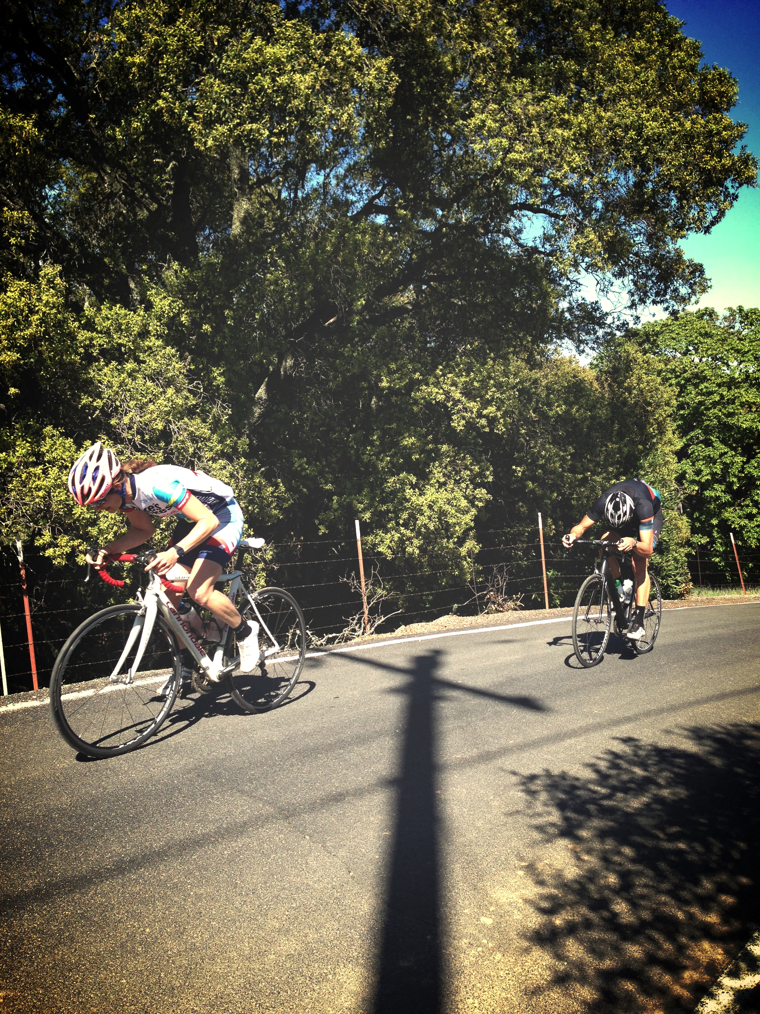 sprint finish.jpg