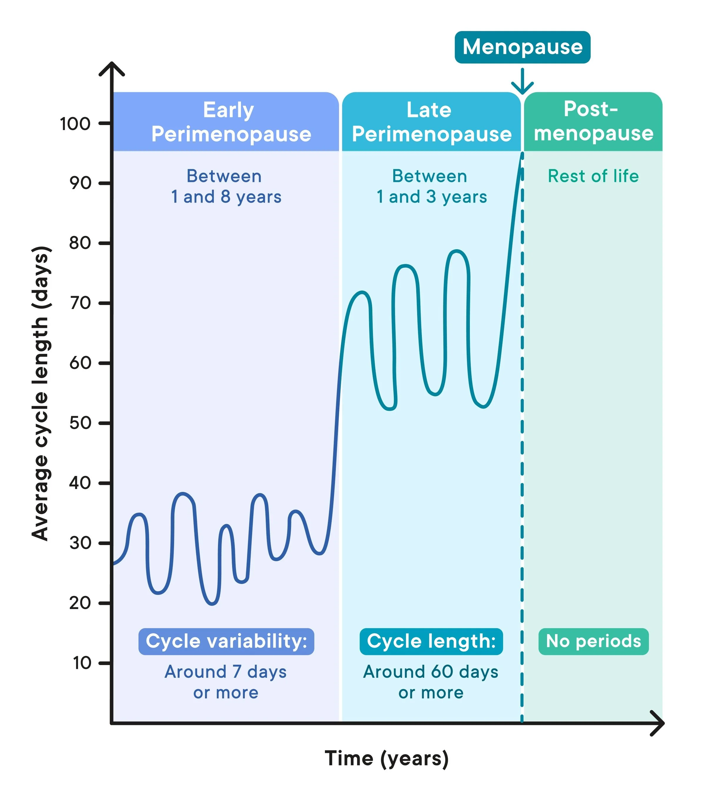 perimenopause cycles.jpeg