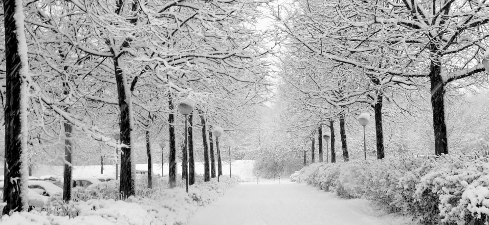 winter .jpg