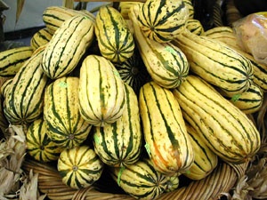  The delicata squash :)