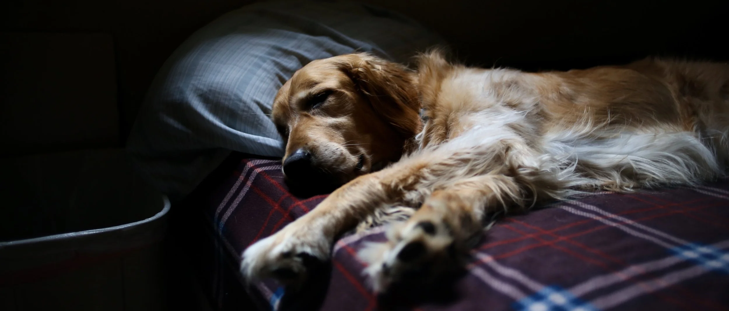 sleep.jpg