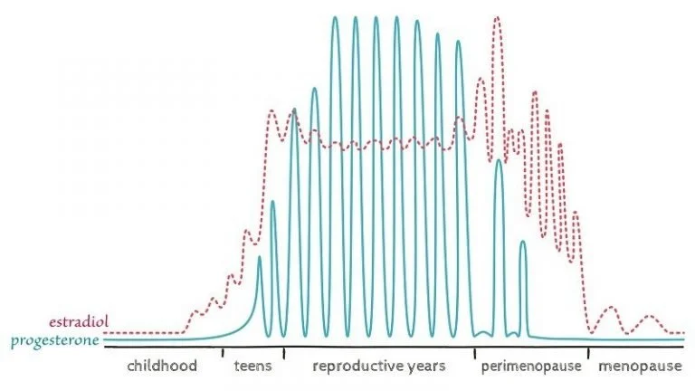 perimenopause-progesterone-768x432.jpeg