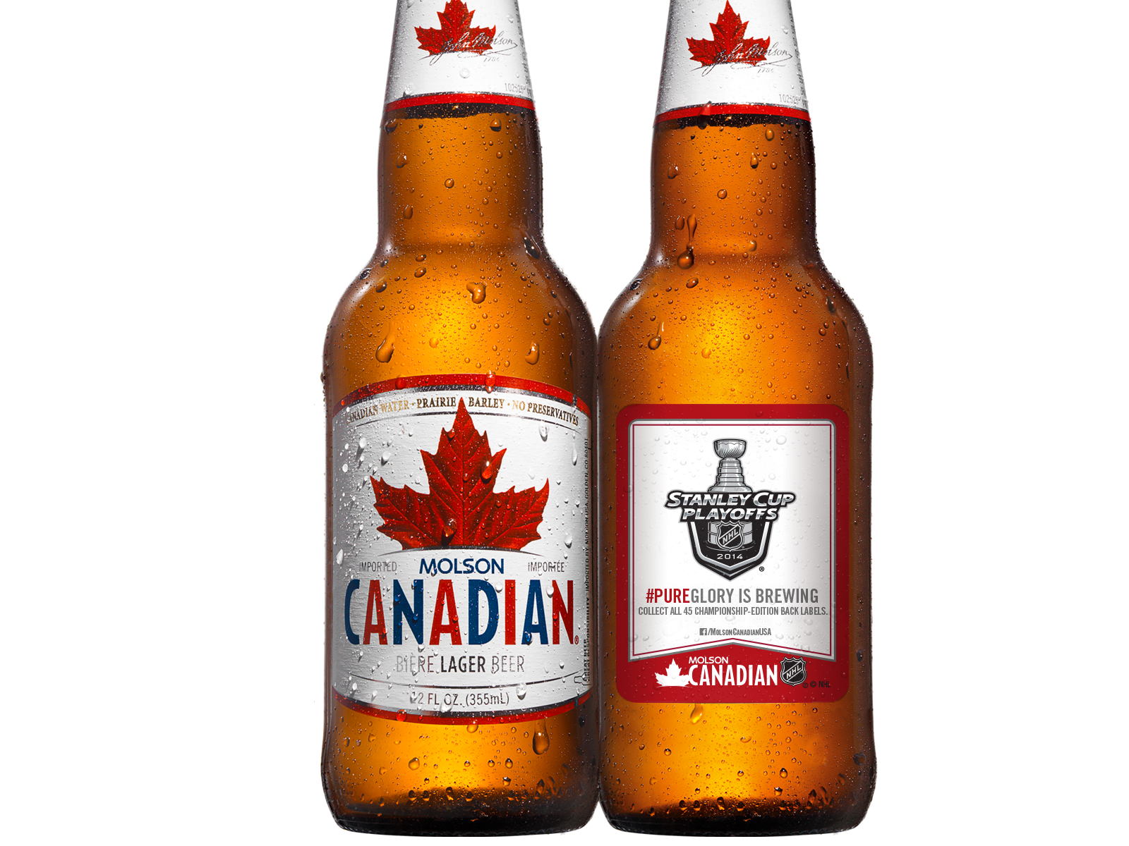 Molson_T1_Bottle2.png