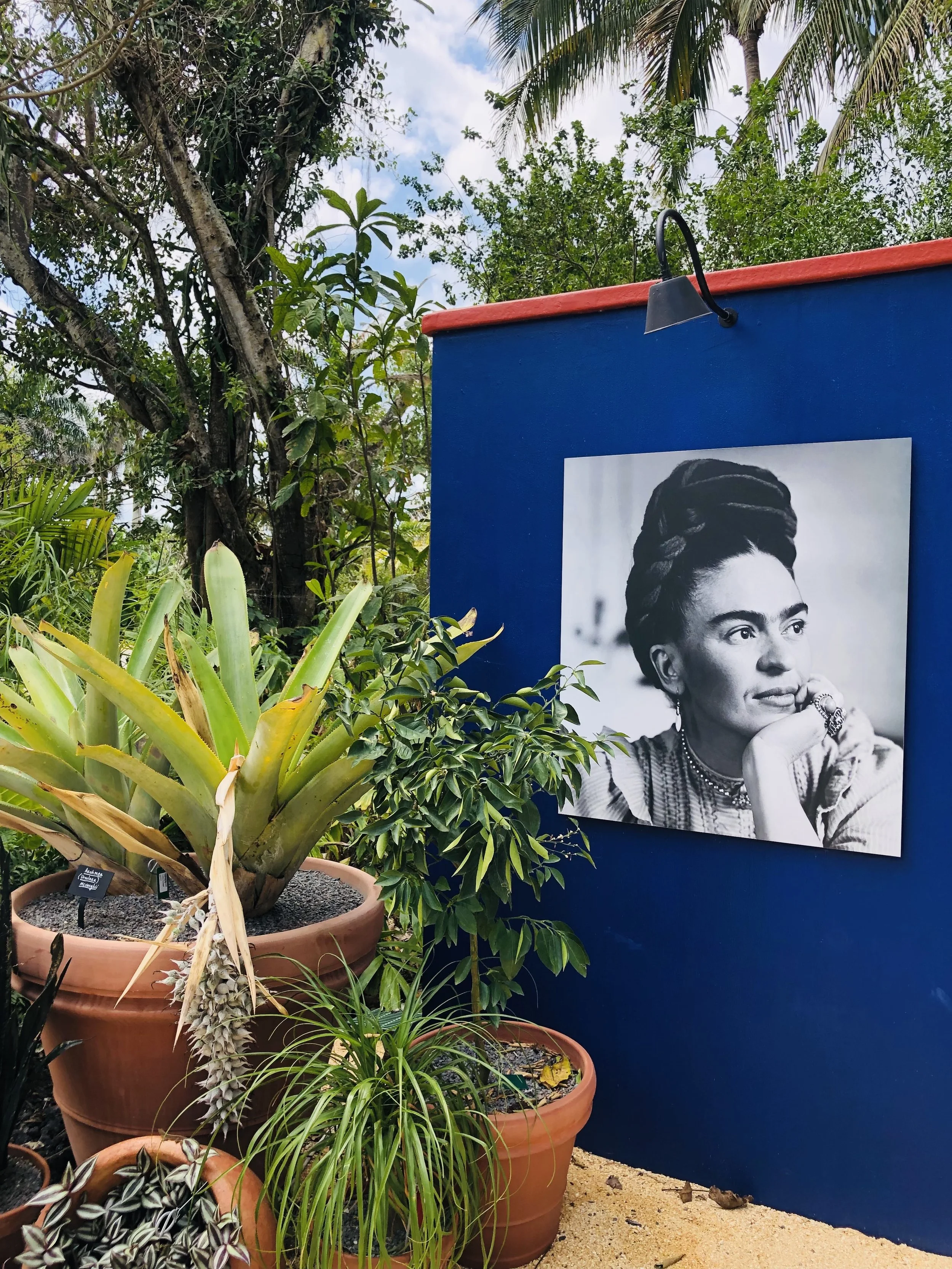 Frida photo.jpg