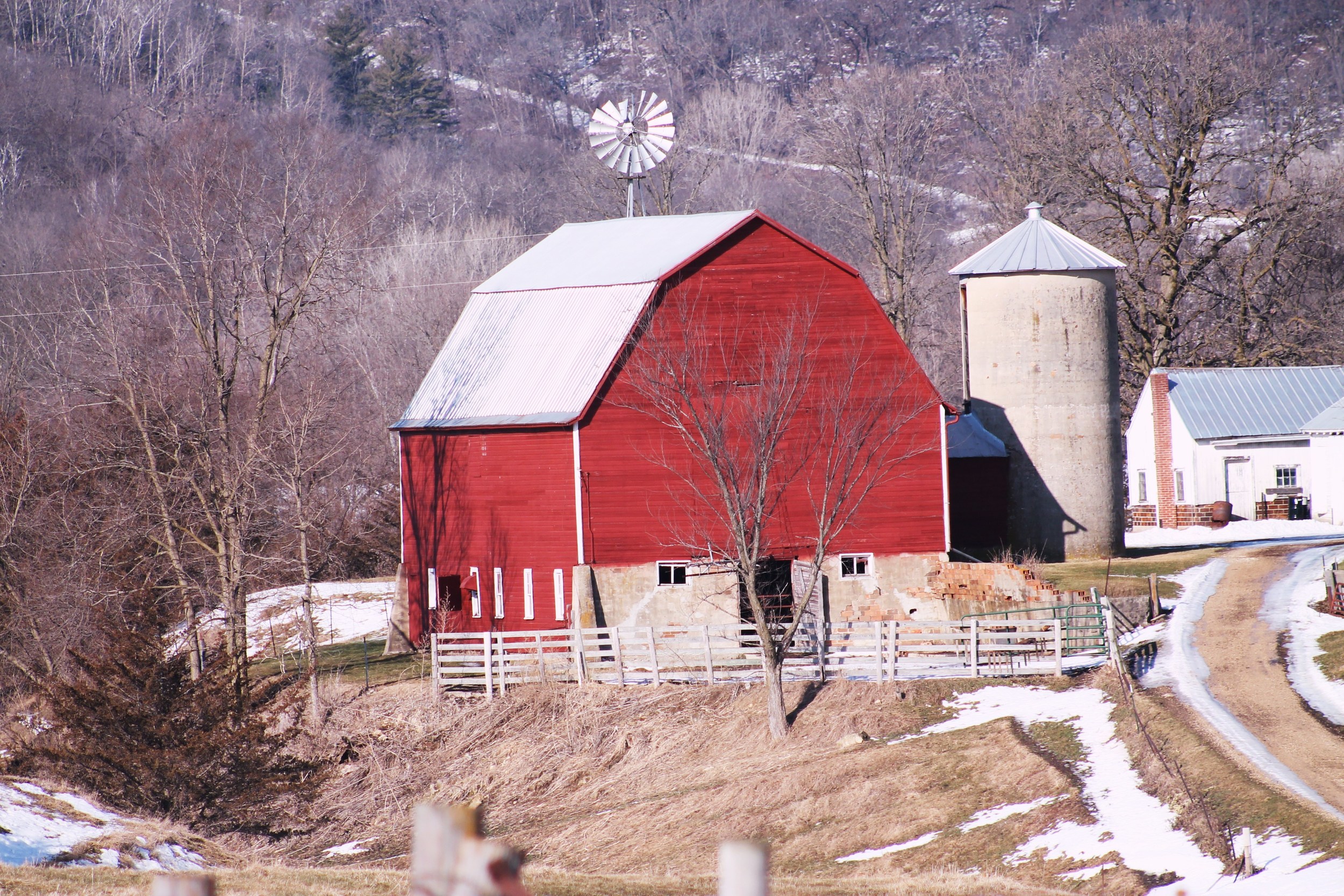 1st Place Kids' Open - Cade Christensen