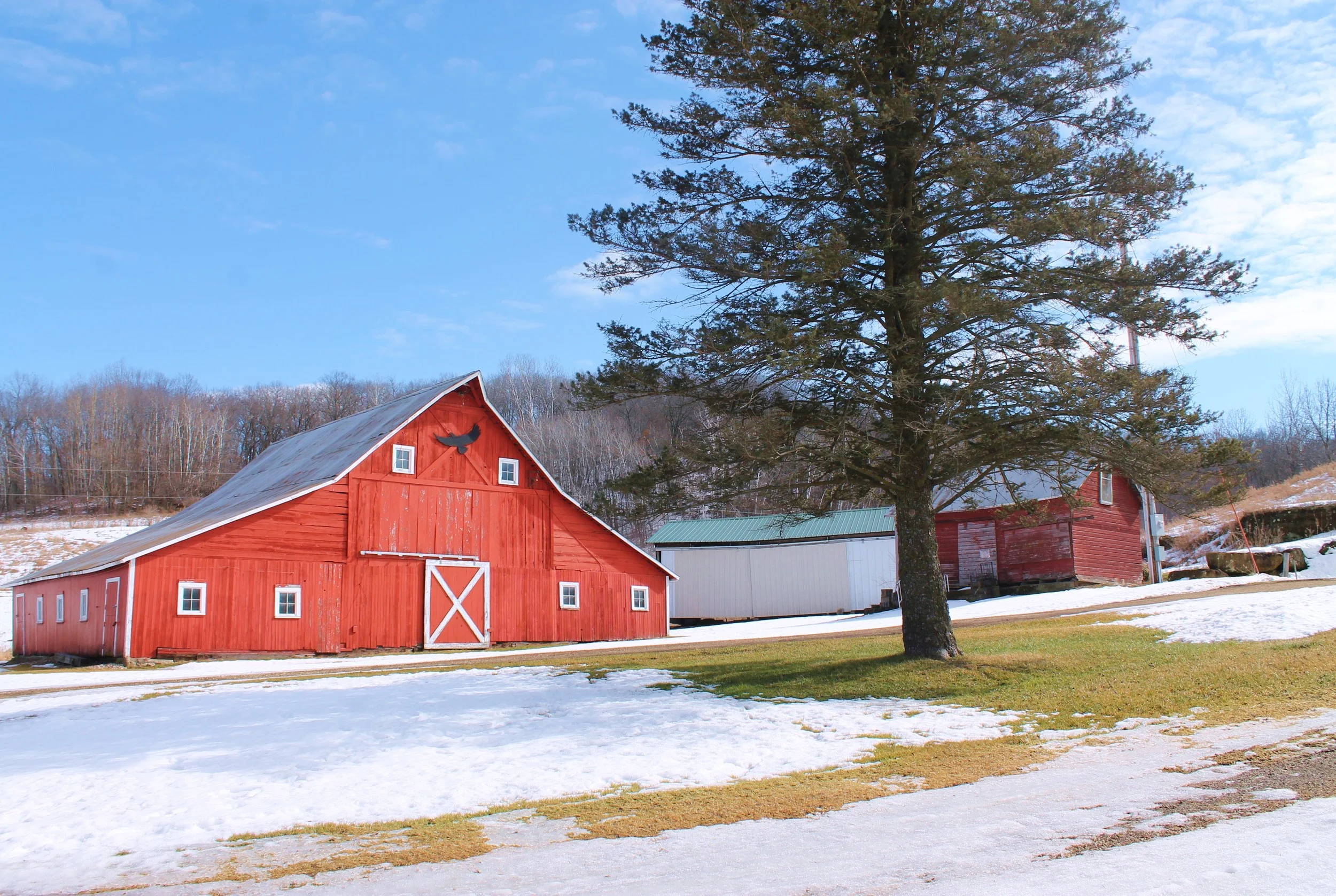 2nd Place Kids' Open - Maria Christensen