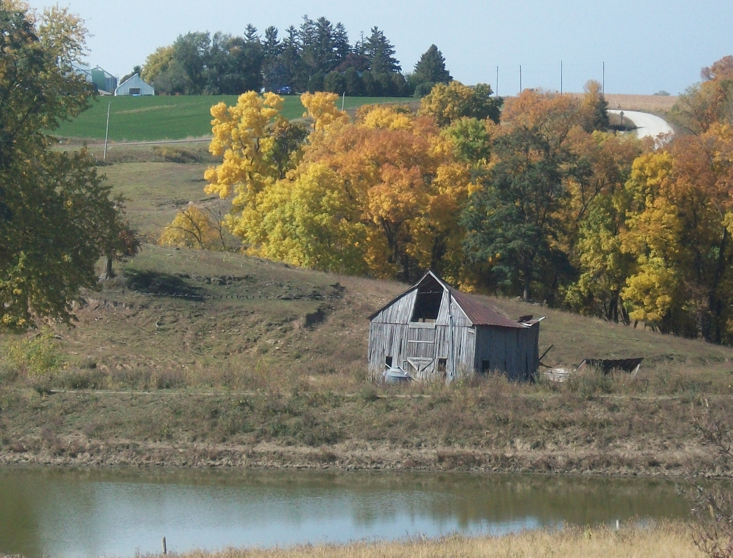 3rd Place Autumn Barns - Dorothy Jorgenson