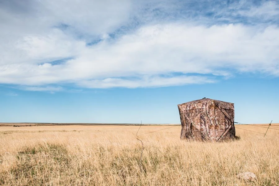 Hunters strategically set up blinds in pre-dawn hours on federal and state land set aside for both conservation and hunting. The sale of hunting licenses, tags, and stamps is the primary source of funding for most state wildlife conservation e