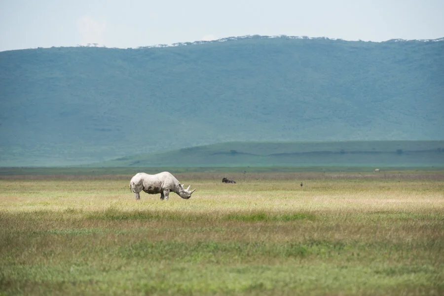 D8D_8444.jpg