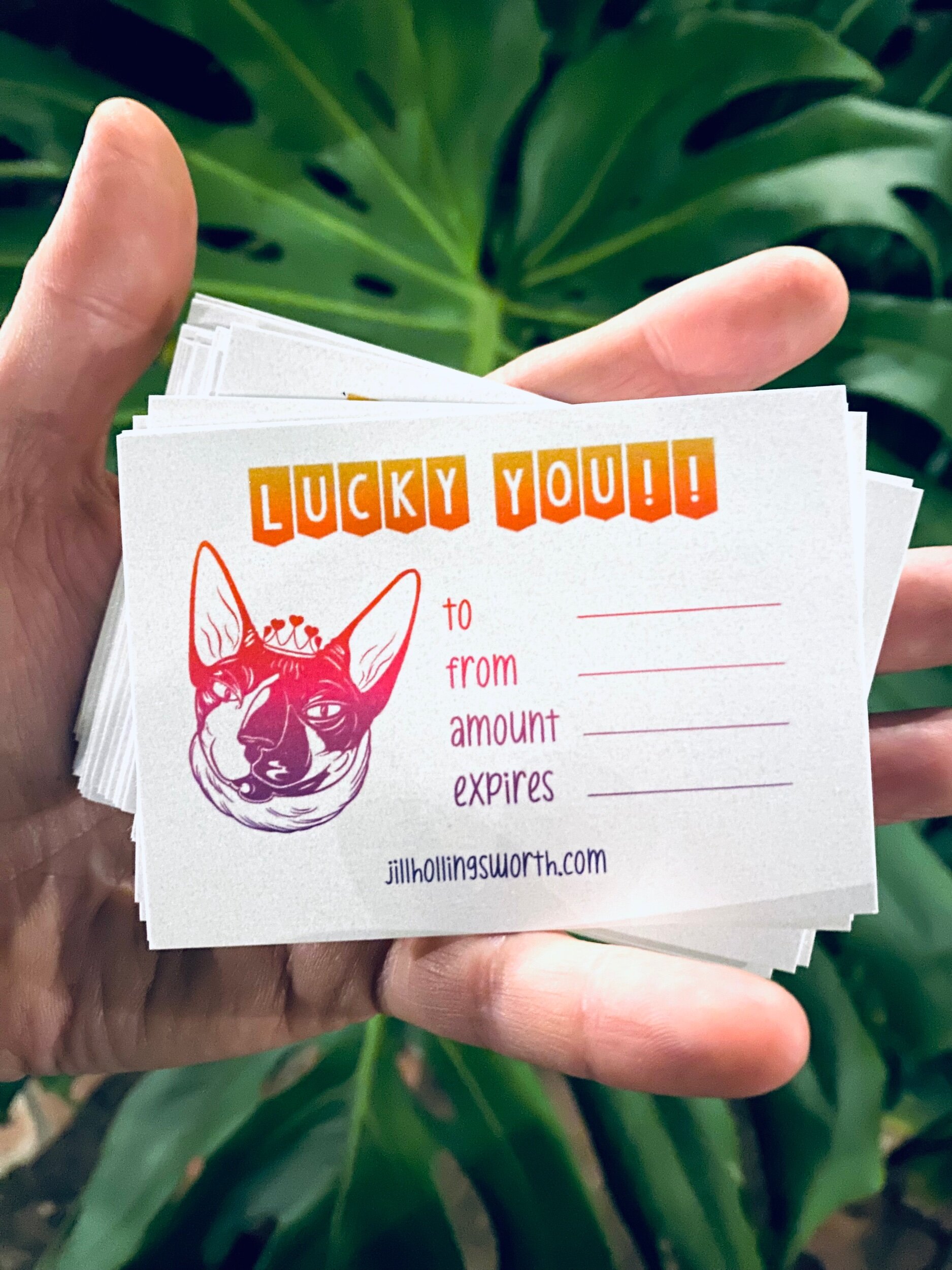 49E15F80-A7E7-4132-9525-3BE34D1F032A