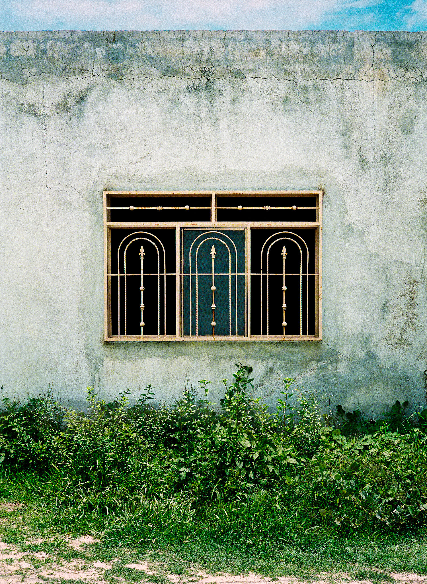 window_grass.jpg