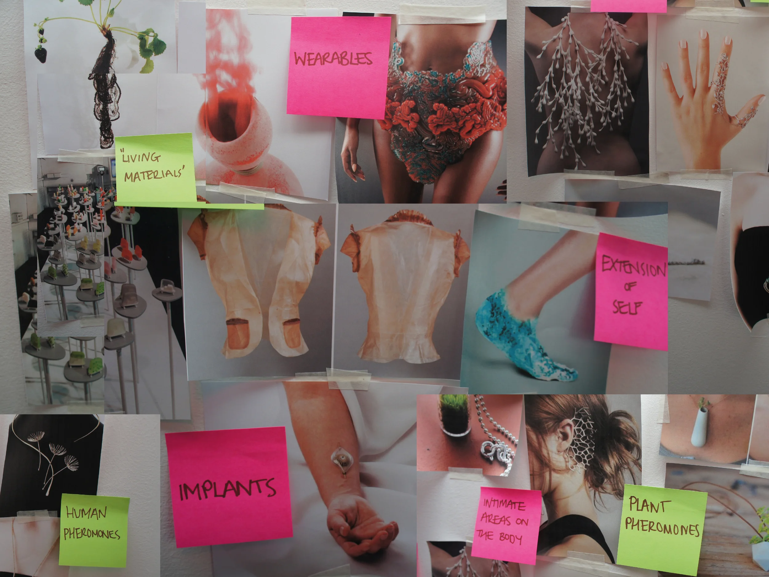 Blush_Research-01.jpg