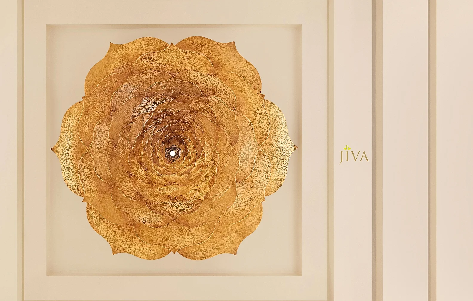 JIVA 8.jpg