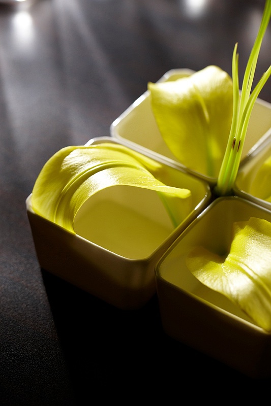 VIVANTA SURYA MOOD 216.jpg