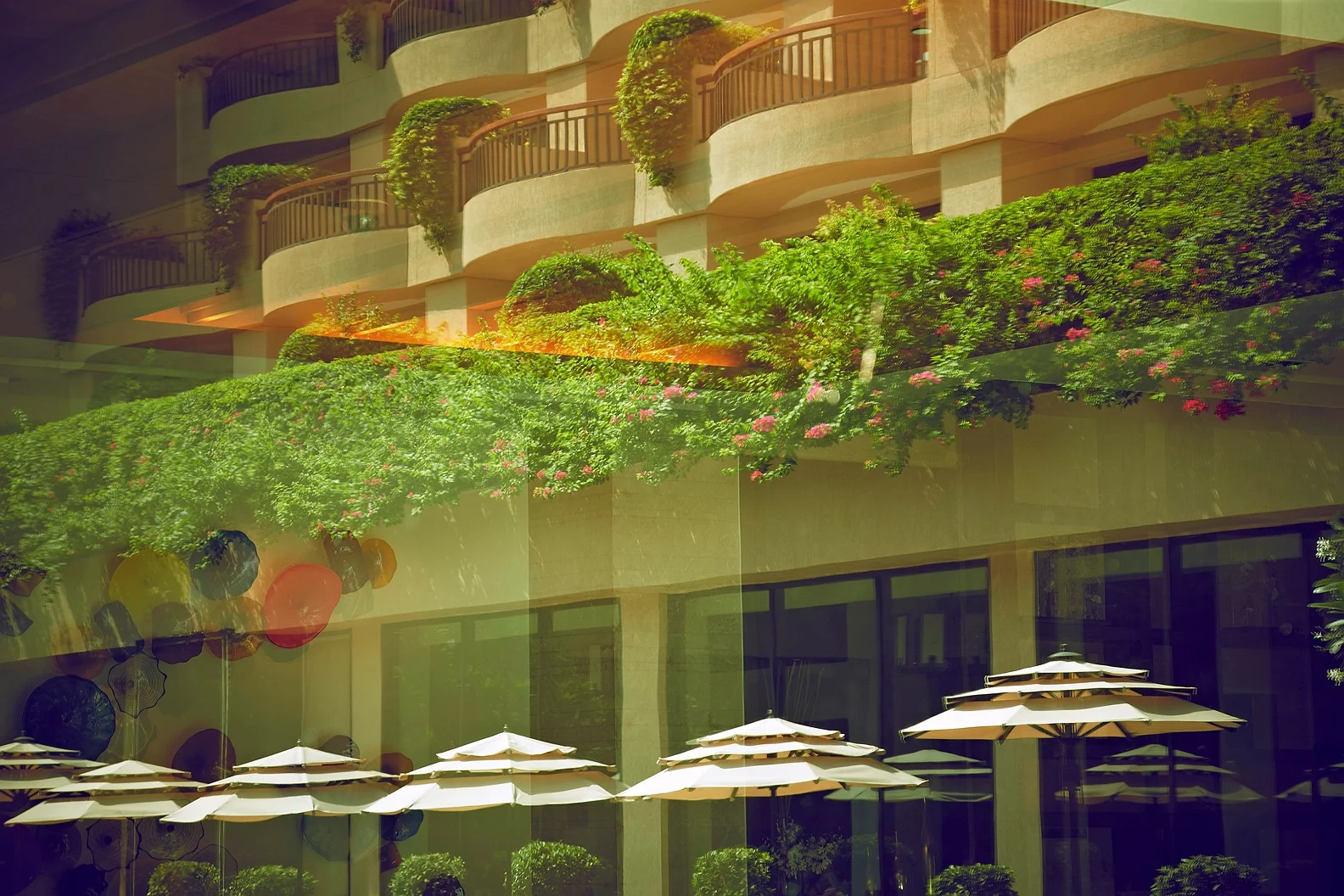 OASIS ALFRESCO 24 1.jpg