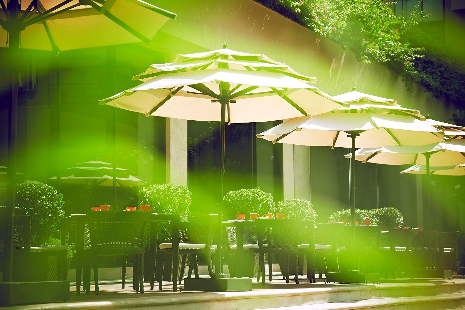 OASIS ALFRESCO 7 1.jpg