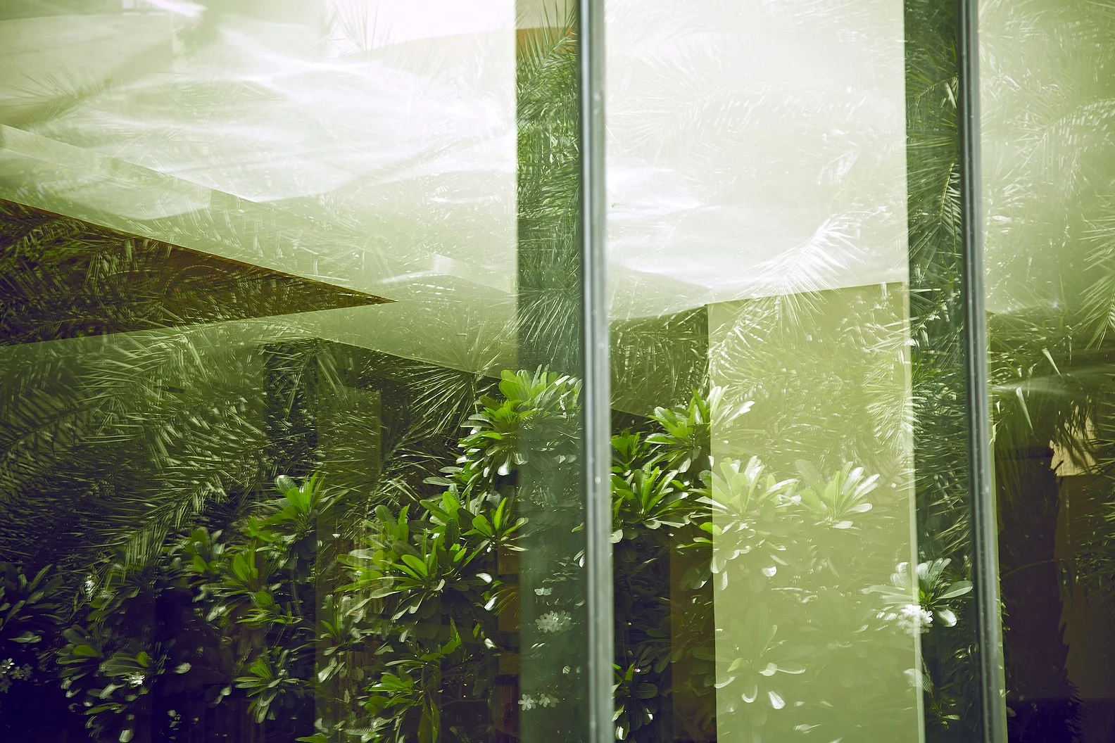 OASIS ALFRESCO 55.jpg