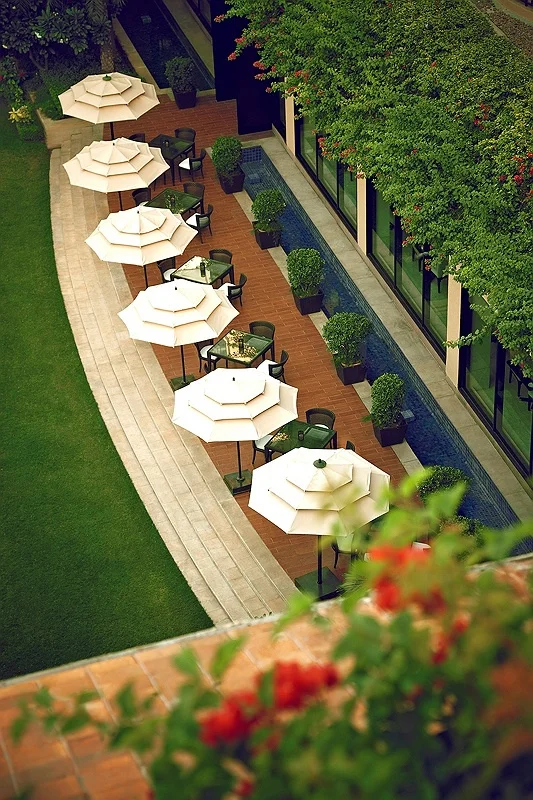 OASIS ALFRESCO 6 1.jpg