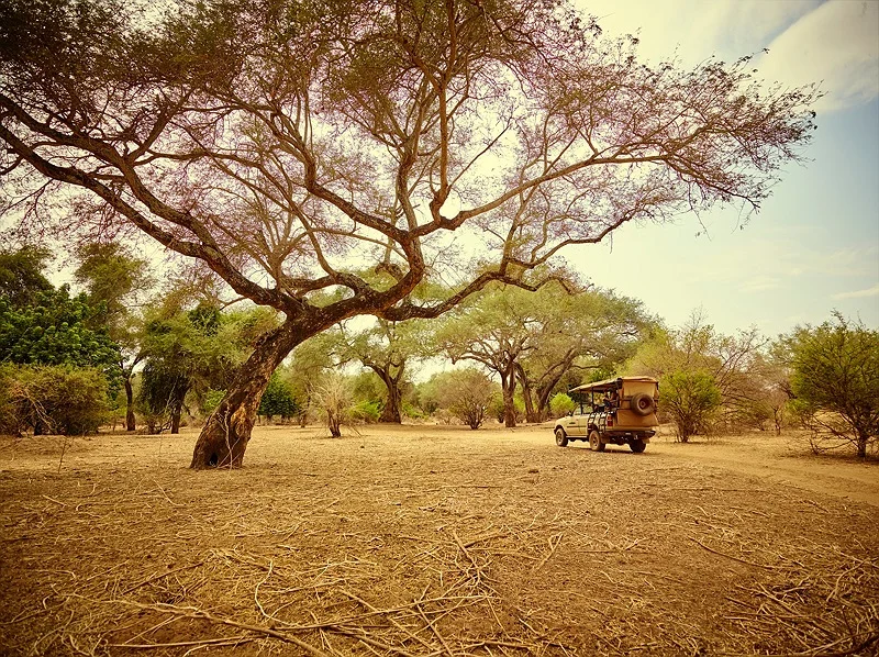 LOWER ZAMBEZI GAME DRIVE 67.jpg