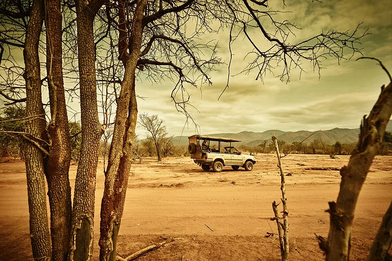 LOWER ZAMBEZI GAME DRIVE 40 1.jpg