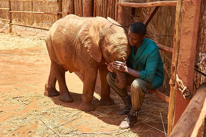 ELEPHANT ORPHANAGE 105.jpg
