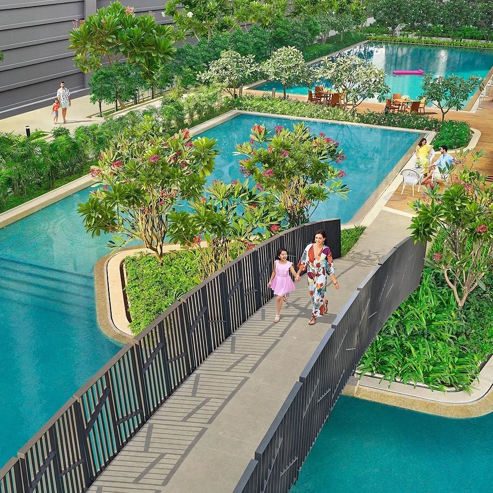 TP+POOL.jpg