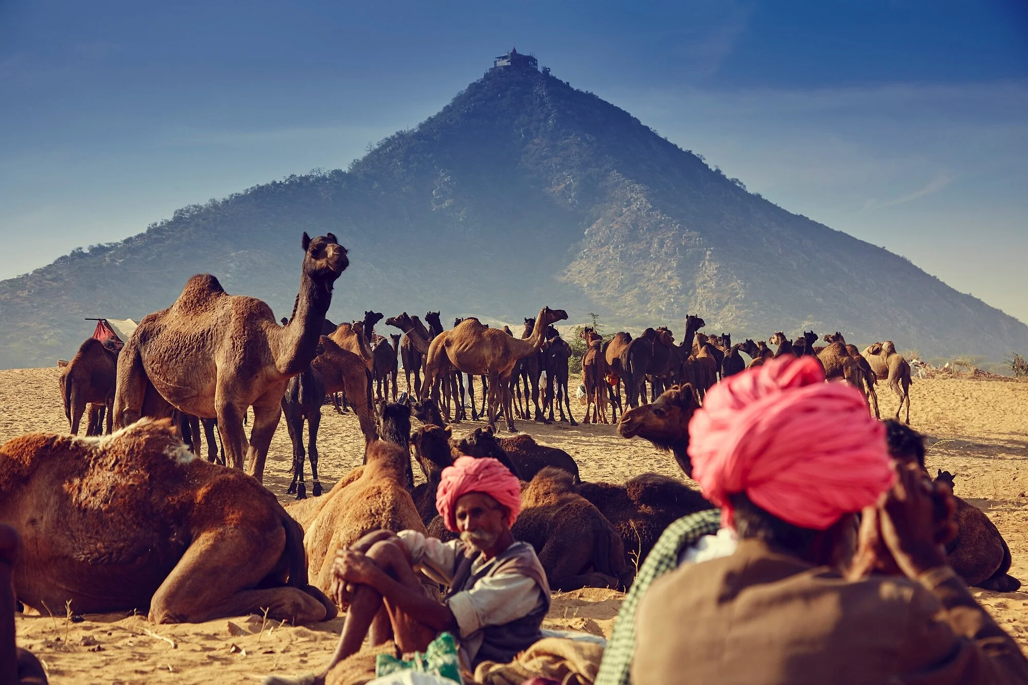 PUSHKAR 85.jpg