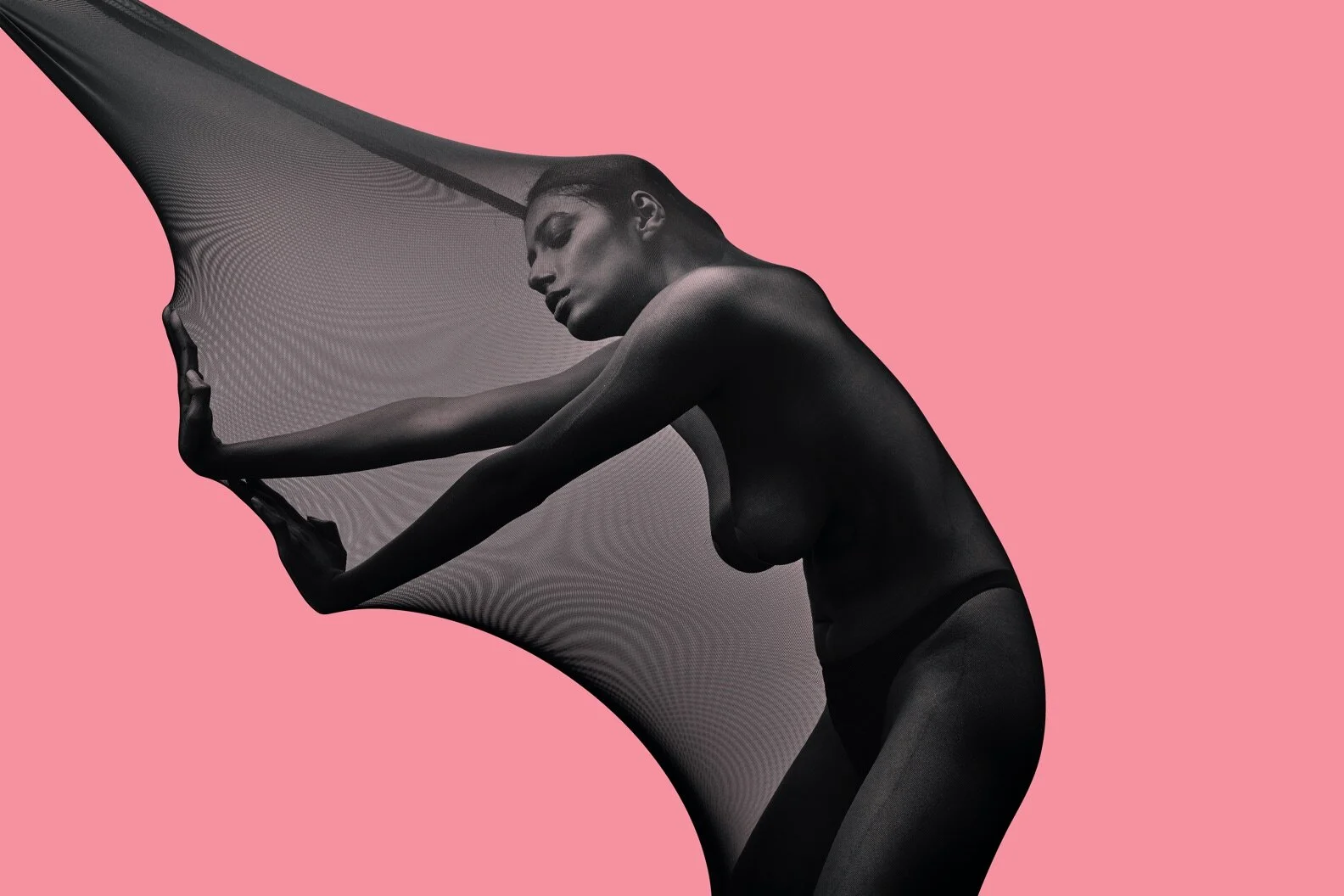 MESH 7.jpg