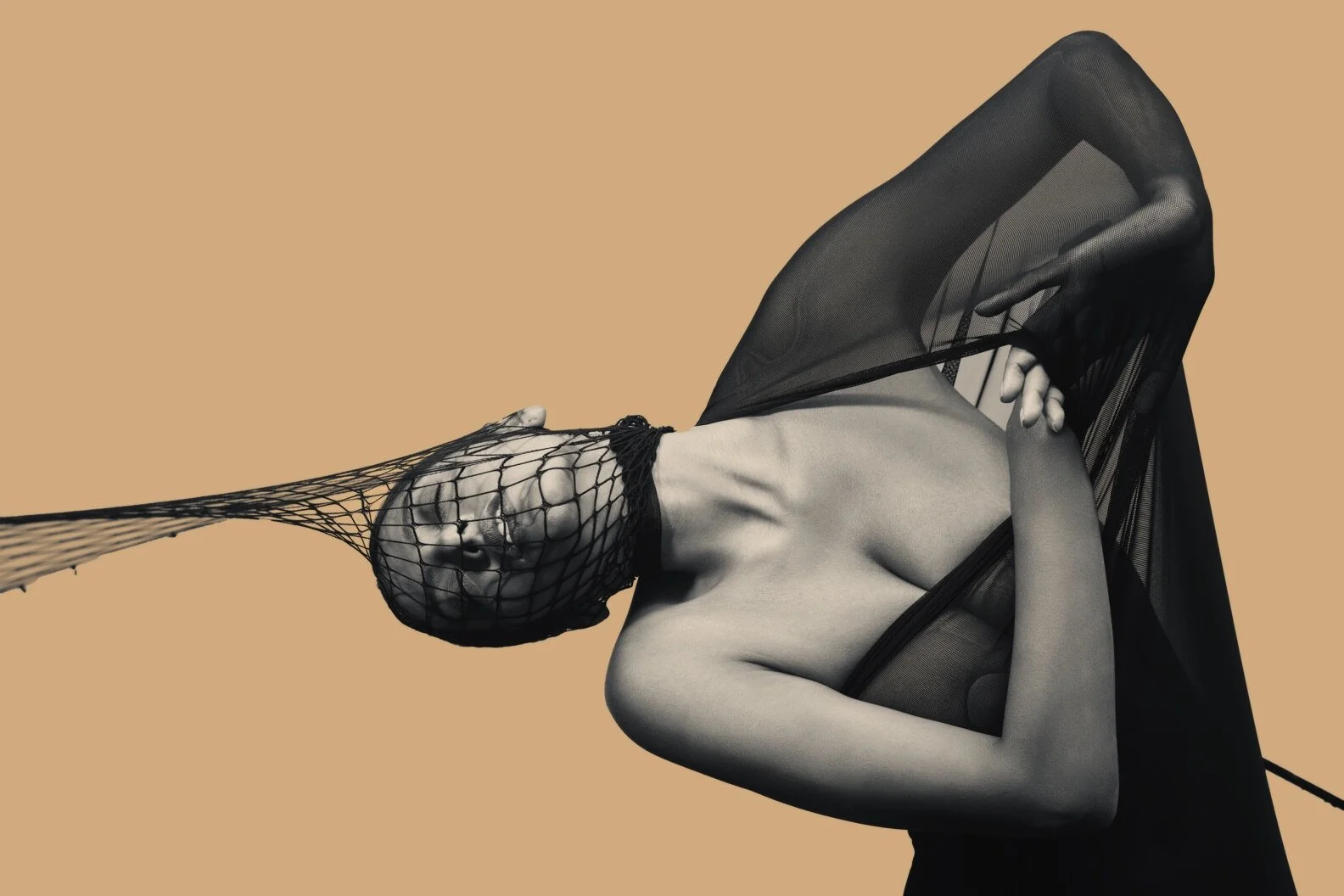 MESH 2 3.jpg