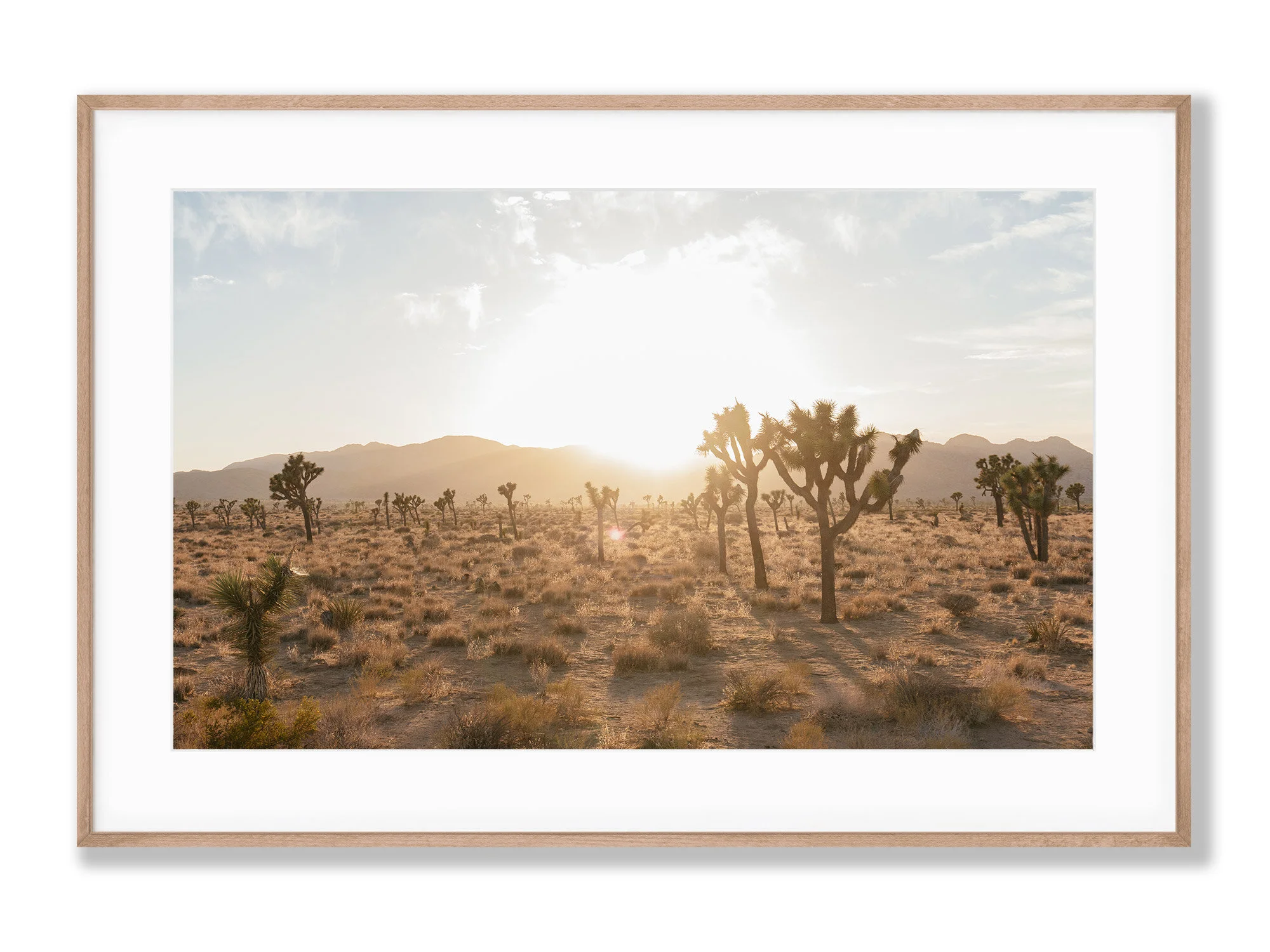 sun-bettinabogar-frame-birch-01.jpg