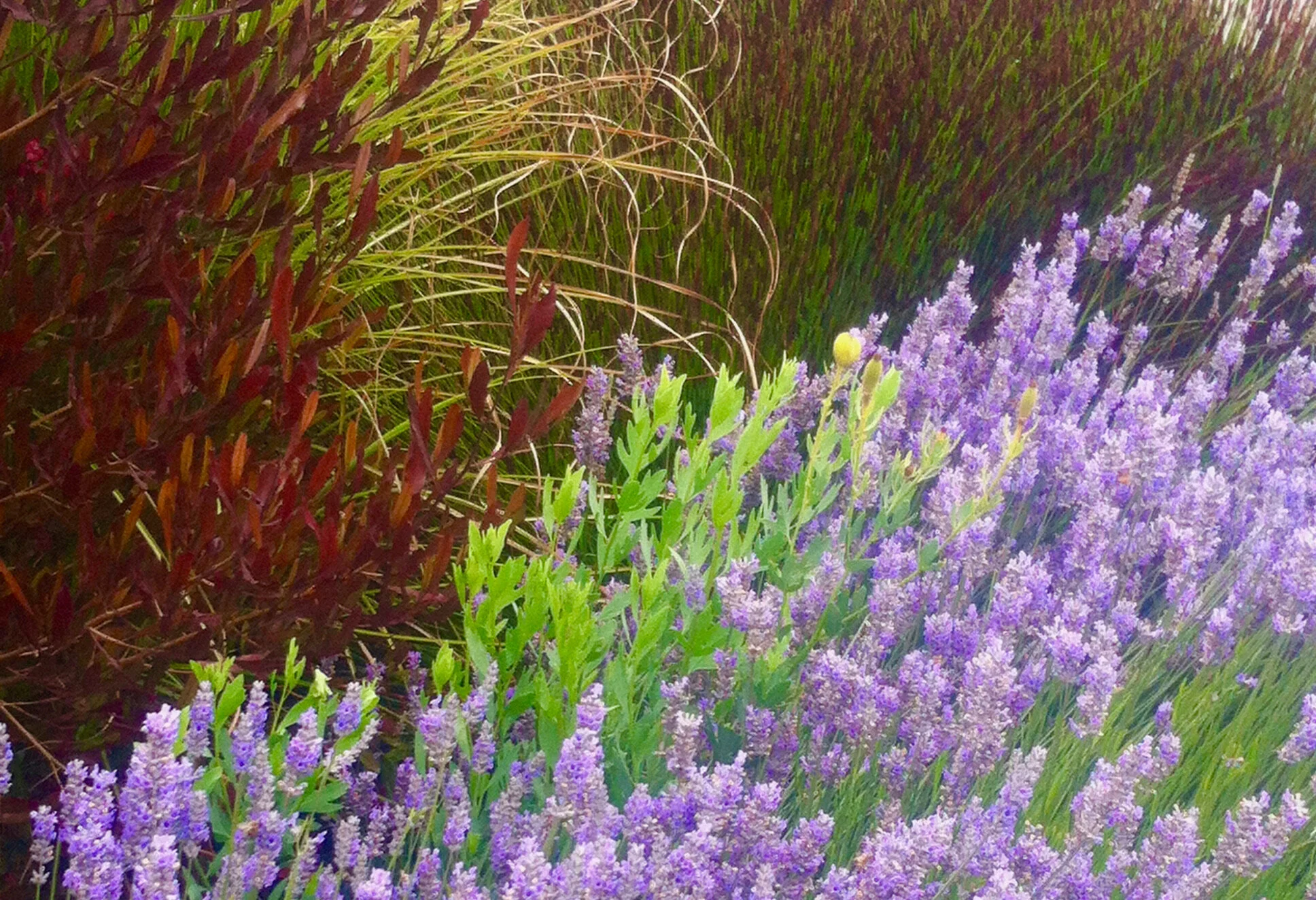 Banner - Tour 2.jpeg