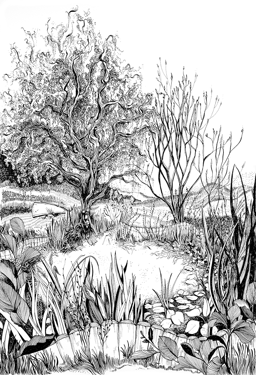 Willow Pond.png