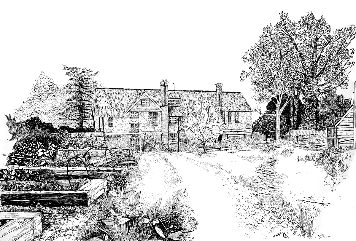 The Back Garden.png