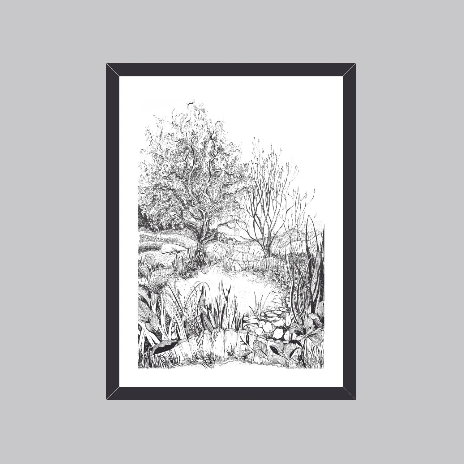 Willow Pond