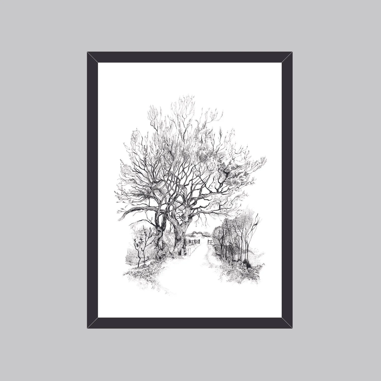 The Veteran Oak