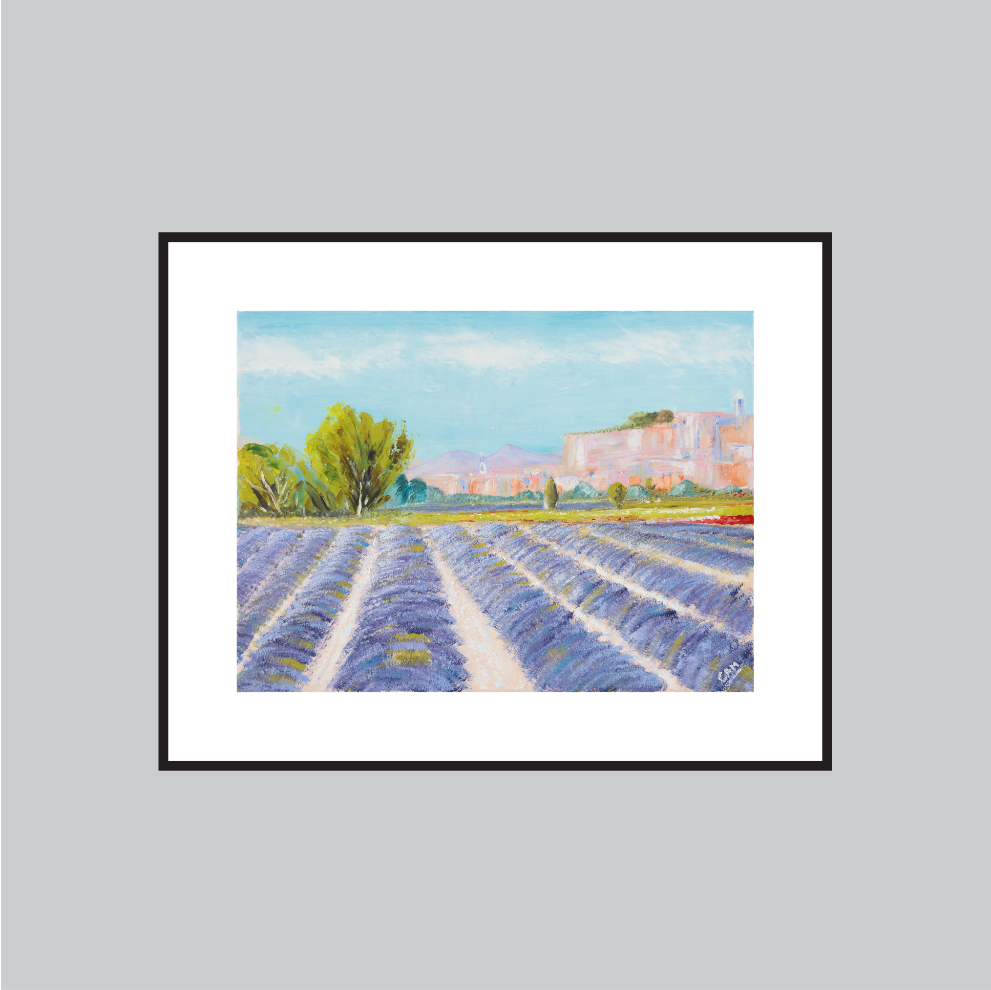 Lavender fields