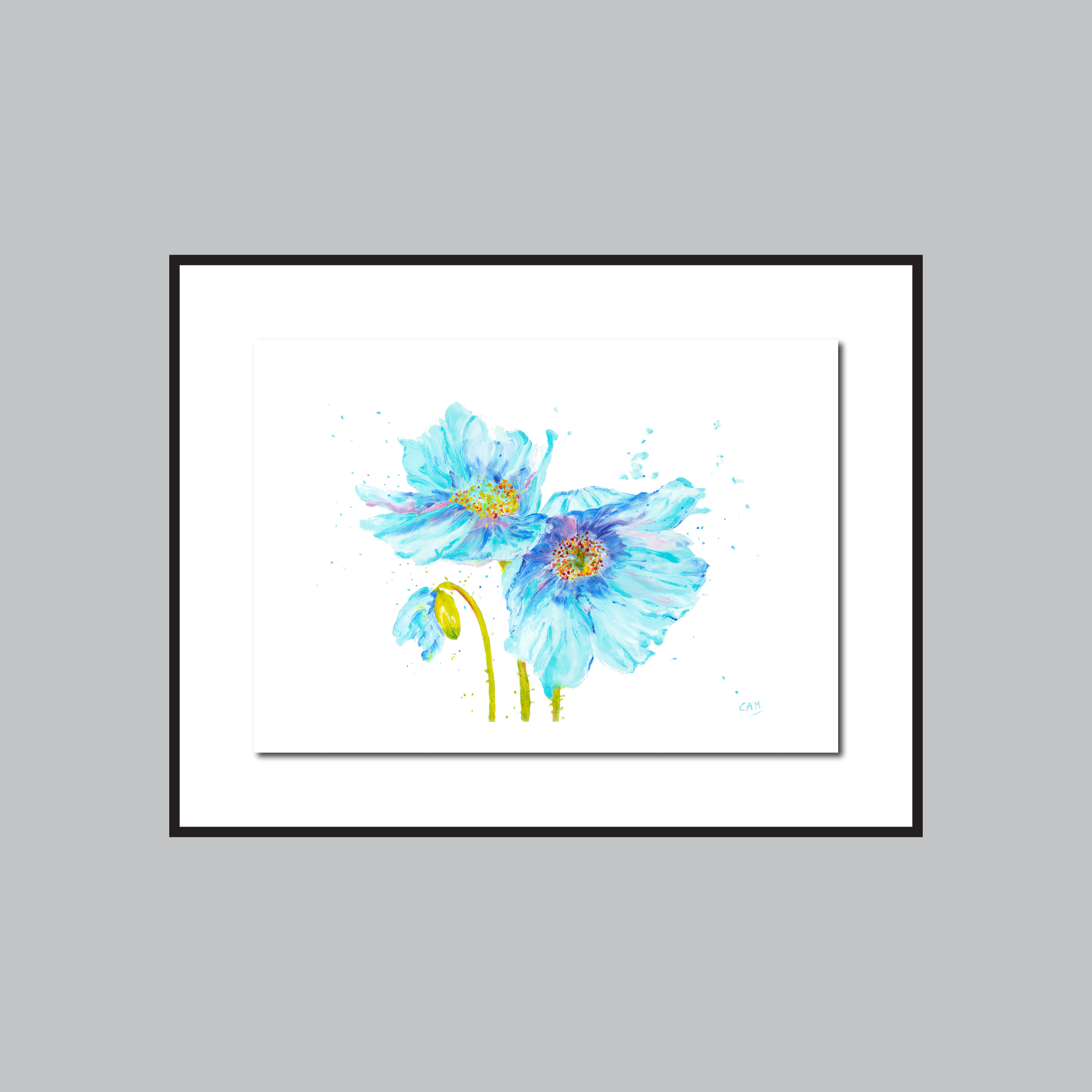 Blue Poppies