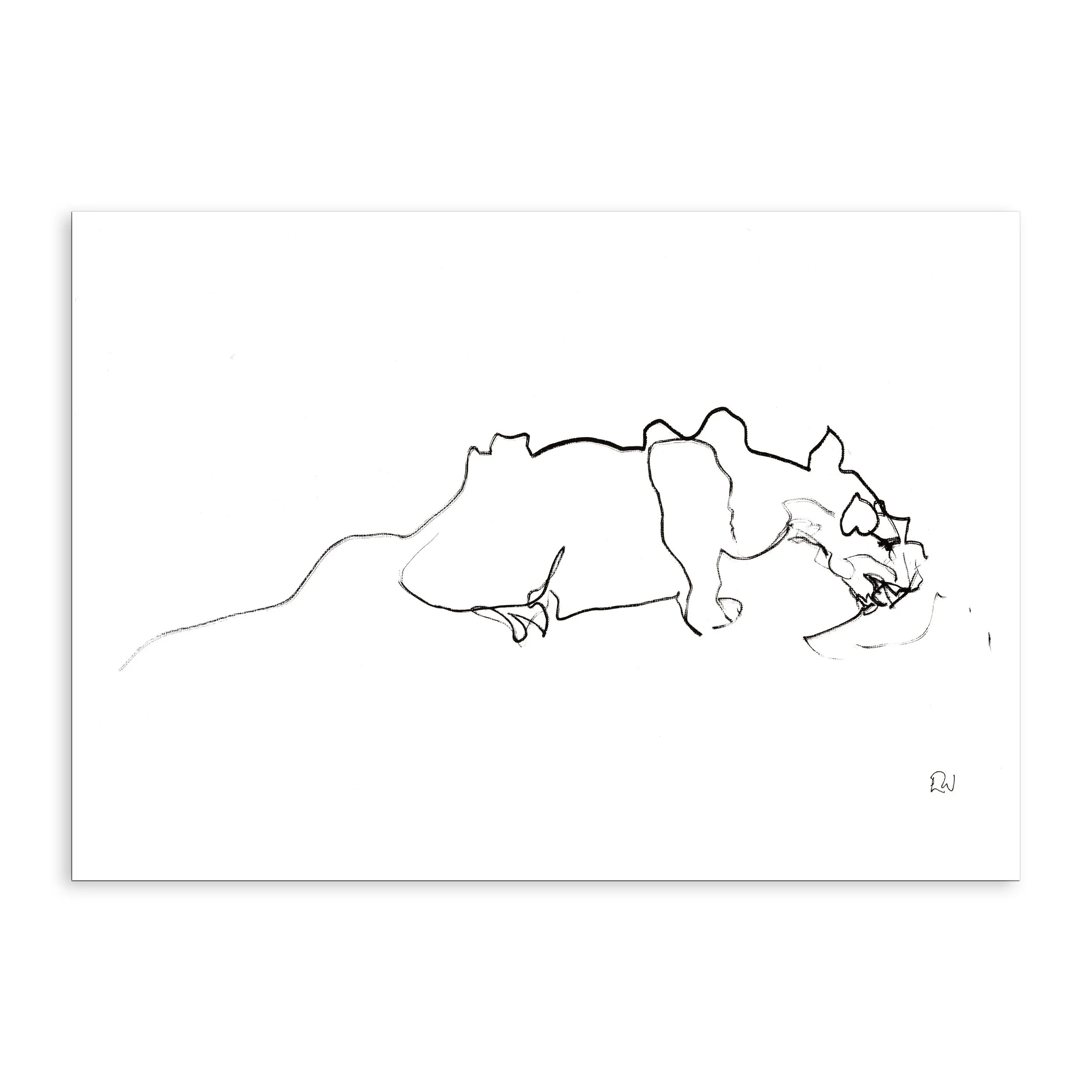 Wildside Puma Eating