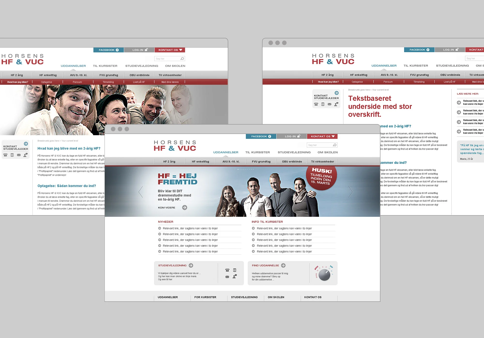 Horsens-website.jpg