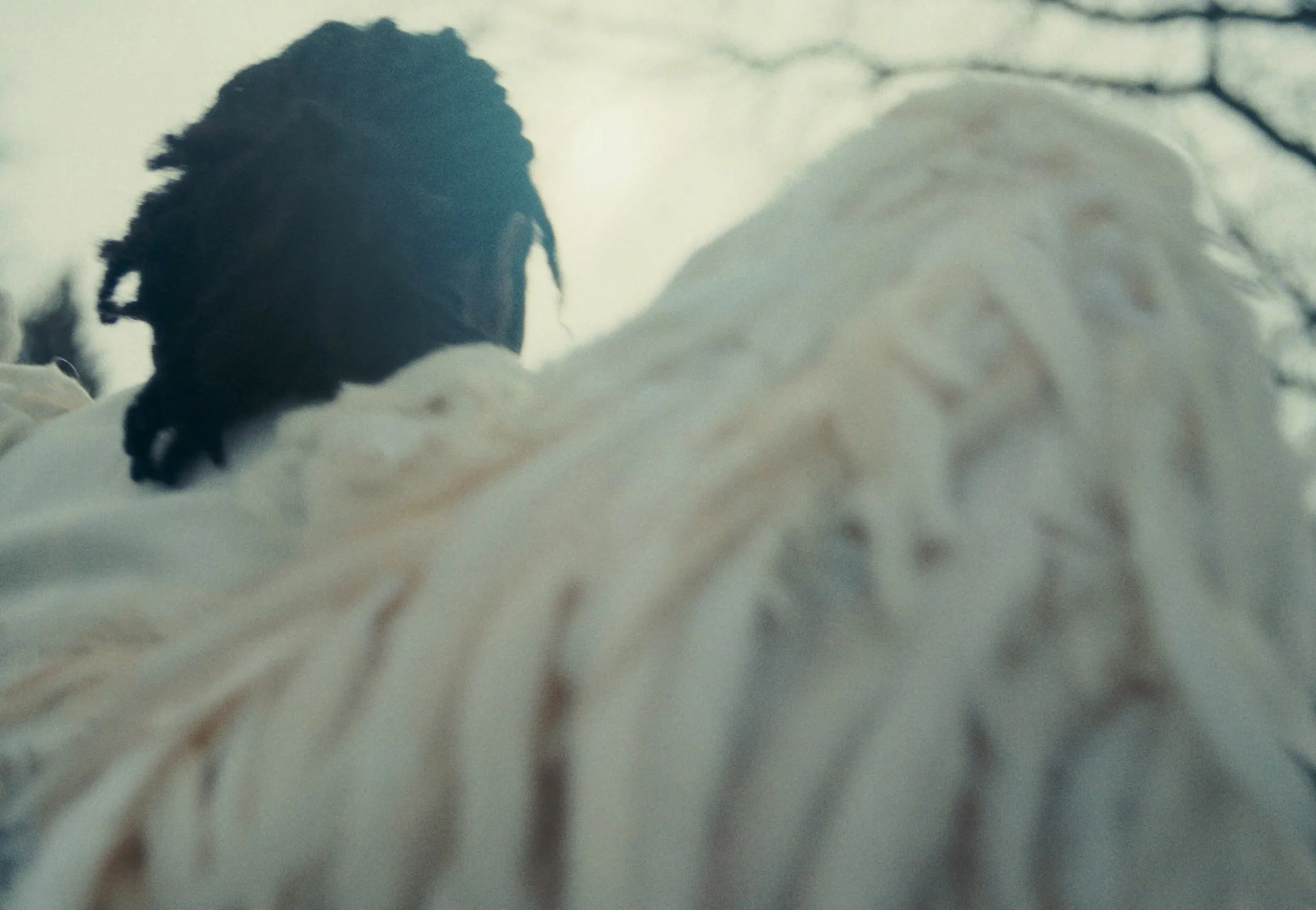 Miles Still_Walking.jpg