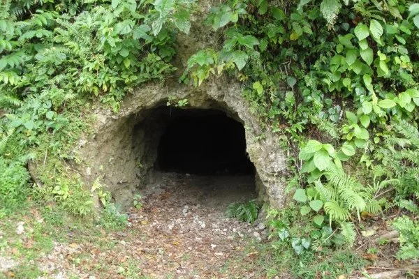 Antre - Les Frères Chapuisat