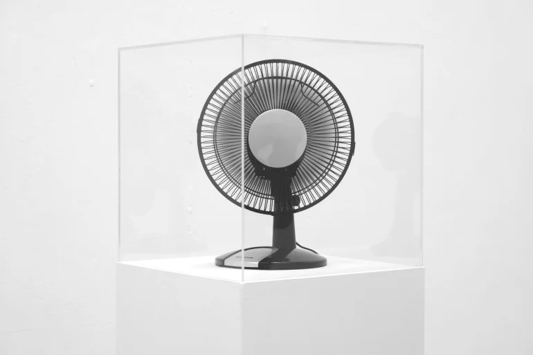 Fan, 2014