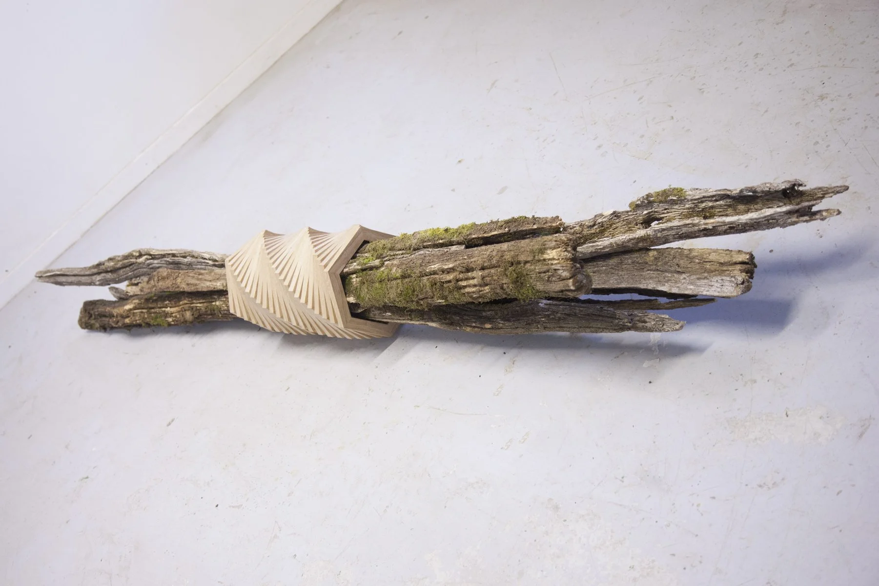 Fagot, 2014