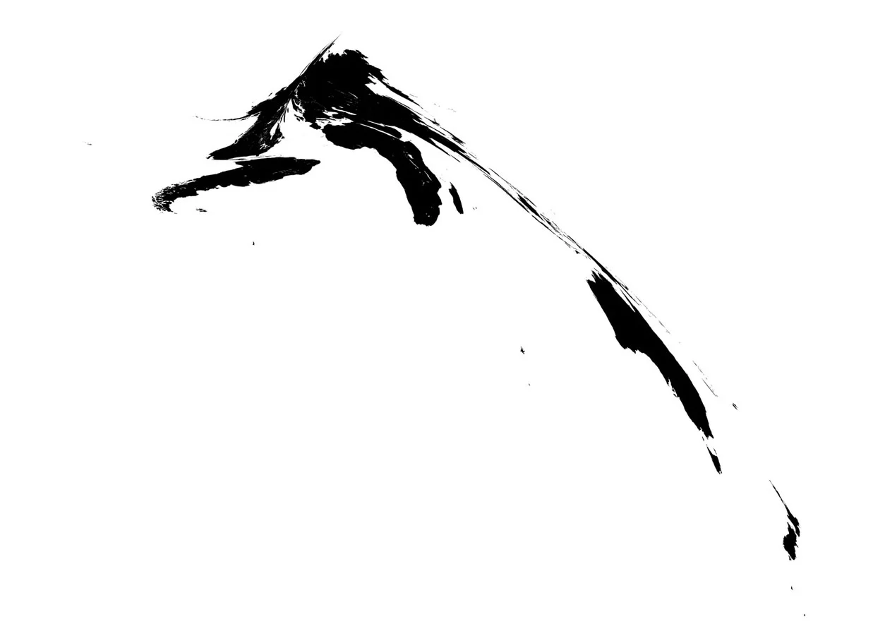 Stéphane Thidet, "Tache de Monde I", 2015