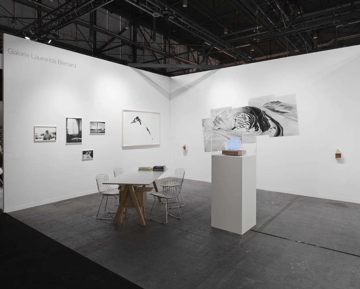 Vue du stand | Exhibition view artgenève 2017. Galerie Laurence Bernard