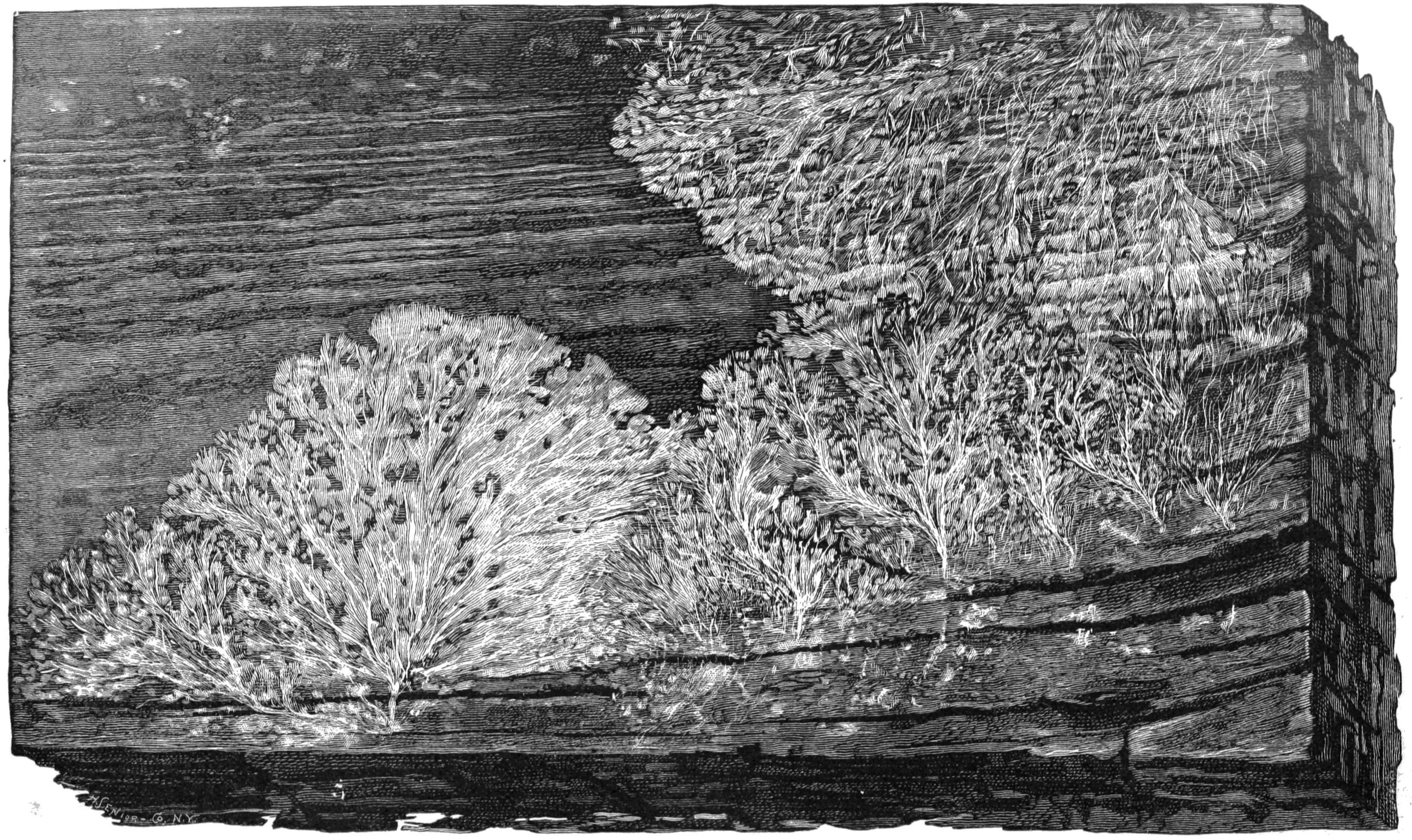 Courtoisie Galerie Laurence Bernard, Genève