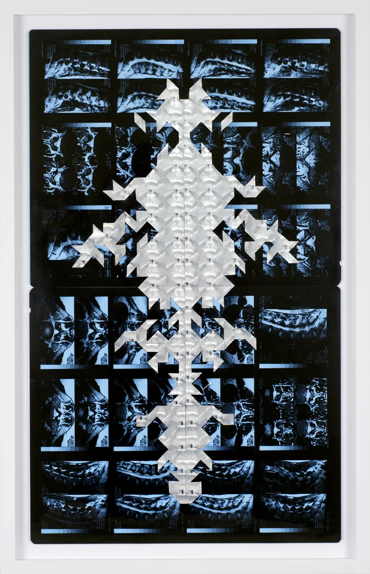 Séverine Hubard, "Bicho raro", 2016