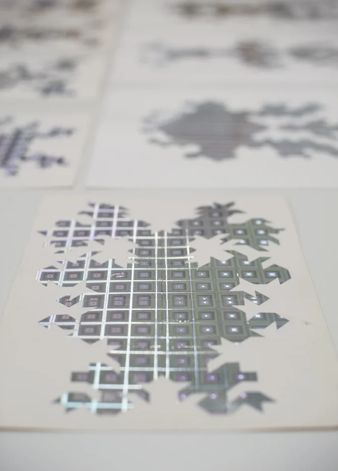 Séverine Hubard, "Bicho raro", 2016