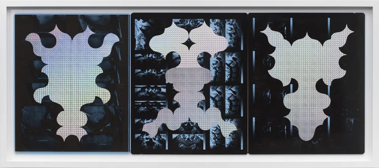 Séverine Hubard, "Bicho raro", 2016
